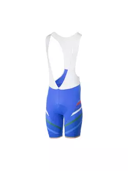 ROGELLI TEAM 2.0 men's cycling shorts blue