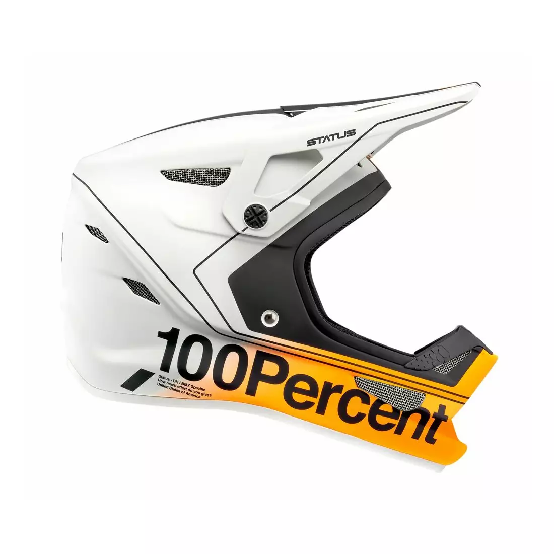 100% bicycle helmet full face STATUS DH/BMX carby silver STO-80010-465-14