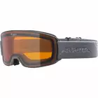 ALPINA ski/snowboard goggles M40 NAKISKA DH gray A7281123