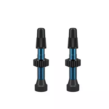 WTB tubeless valve kit FV TCS 34mm blue W095-0007