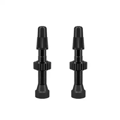 WTB tubeless valve kit FV TCS 34mm black W095-0005