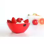 VIALLI DESIGN LIVIO square acrylic bowl, red