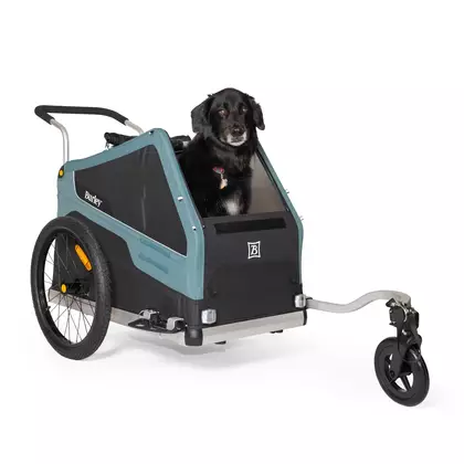 BURLEY TAIL BARK RANGER XL bicycle trailer for belt, blue and black