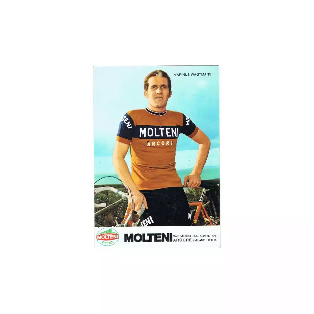 ROGELLI BIKE MOLTENI bicycle jersey 001.218, Colour: Brown