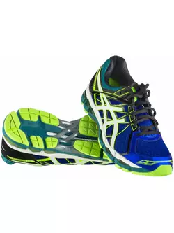 ASICS GEL-SURVEYOR 4 men's running shoes T5C4N 4201